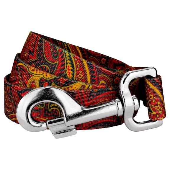 Country Brook Design - 5/8 inch Fire Paisley Dog Leash - 6 Foot
