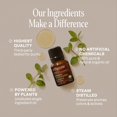 thumbnail image 2 of Organic Oregano Essential Oil 0.33oz, 2 of 2