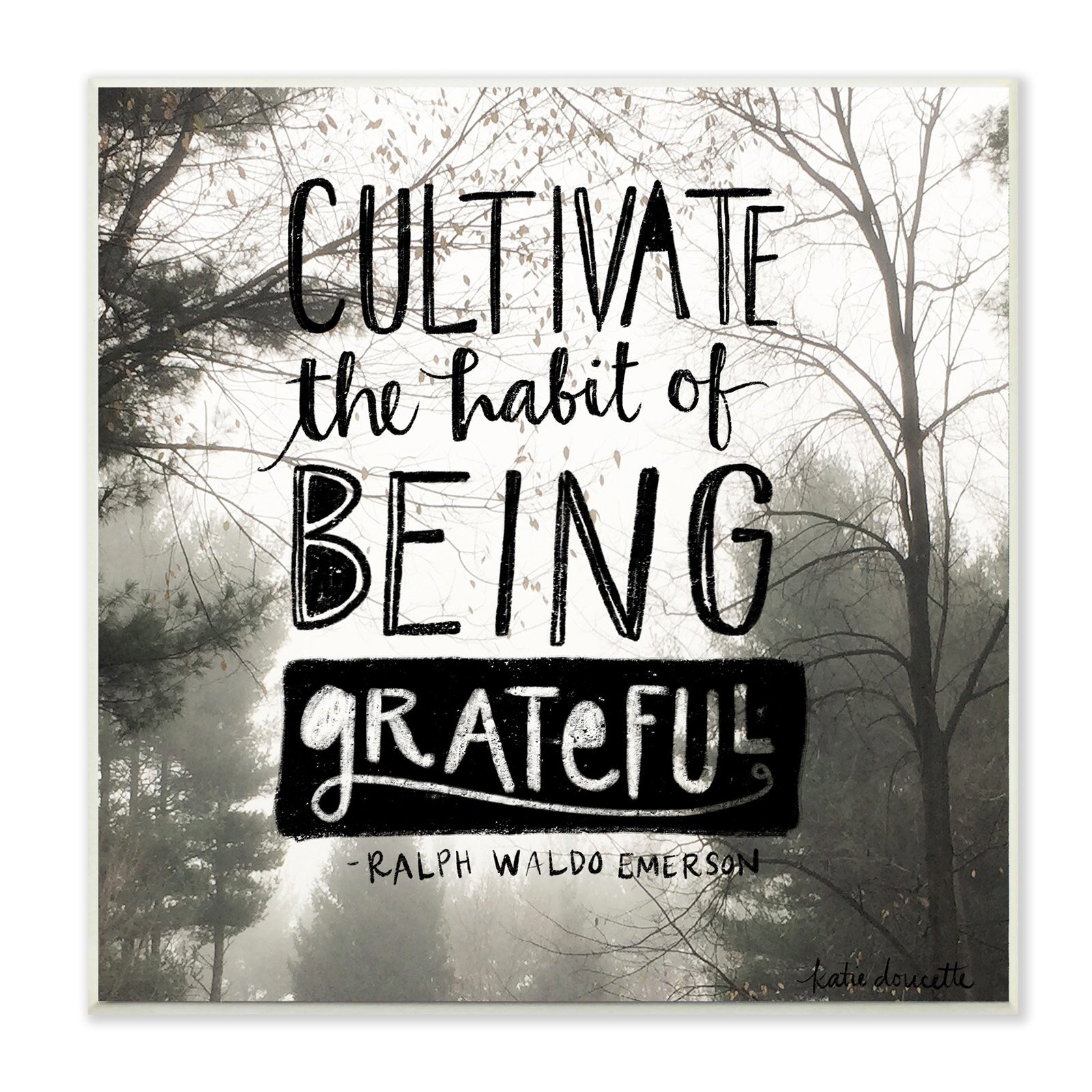 The Stupell Home Decor Collection Cultivate Being Greatful Foggy Landscape Wall Plaque Art, 12 x 0.5 x 12