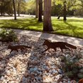 thumbnail image 4 of Rusty Fox Garden Decor Art Silhouette Garden Plugin Decoration, 2D Metal Fox Statue Rusty Decoration, Rustic Garden Statue Decoration, 4 of 5