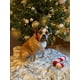 thumbnail image 4 of Collar de estilo único con patas navideñas para perros y gatos con lazo para mascotas, 4 of 6