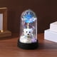thumbnail image 5 of Adornos De Plástico 1Pcs Valentine's Day Preserved Flower and Bear Bow Rose Ornament with Ambient LED Night Light Romantic Decorative Gift for Desktop or Bedside 8.5x15.5CM JASKFLY, 5 of 8