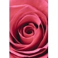thumbnail image 2 of 1x Studio III 23x32 Black Ornate Wood Framed with Double Matting Museum Art Print Titled - Red Rose, 2 of 4