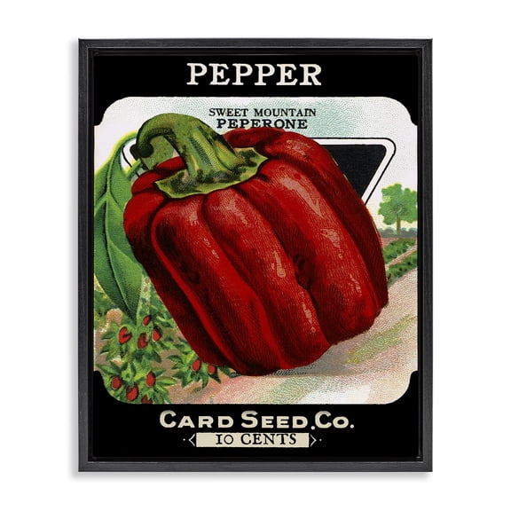 Stupell Industries Farmhouse Vintage Garden Peppers Black Floating Frame Canvas Art, 17 x 21, by Lil' Rue