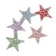 thumbnail image 4 of 5pcs 6cm ANGGREK Forma de Estrella Rhinestone Parches Apliques de Diamantes de Imitación, 4 of 8
