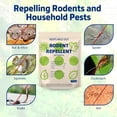 thumbnail image 3 of Mouse Repellent Balls Peppermint Rats Deterrent Indoor Rodent Repellent for House Mint Mice Repellent Peppermint Oil to Repel Mice and Rats 10 Balls, Yellow, 3 of 7