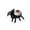 Orange, variant on Cadancy Halloween Spider Light LED Eyeball Candle Lamp Tabletop Display Spooky Glowing Orb Body Creepy Party Atmosphere Seasonal Decor Haunteds House Setup
