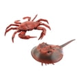 thumbnail image 2 of Sea Life Animal Models Juguetes educativos Adornos de juguetes cognitivos de año de acción de ción ños Bebés 2 piezas rojo CUTICAT Vida marina simulada, 2 of 8