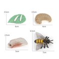 thumbnail image 4 of thinsony Figurines de Cycle de Vie Jouet Éducatif Réaliste pour Fêtes Abeille, 4 of 9