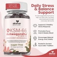 thumbnail image 4 of AKSHAR AYURVEDA KSM-66 Ashwagandha Gummies, Sugar Free Vegan Gummies with Chicory Root, Cherry Flavor, 60 Count, 4 of 8