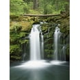 thumbnail image 2 of Flaherty, Dennis 19x24 White Modern Wood Framed Museum Art Print Titled - OR, Cascade Range, Umpqua NF Whitehorse Falls, 2 of 4