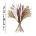 thumbnail image 3 of Dongrere Natural Dried Pampas Grass Bouquet, Neutral Toned Dried Floral, Phragmites Dried Flowers for Home, Wedding Centerpieces, Farmhouse Vases, 15" - 17", 3 of 6