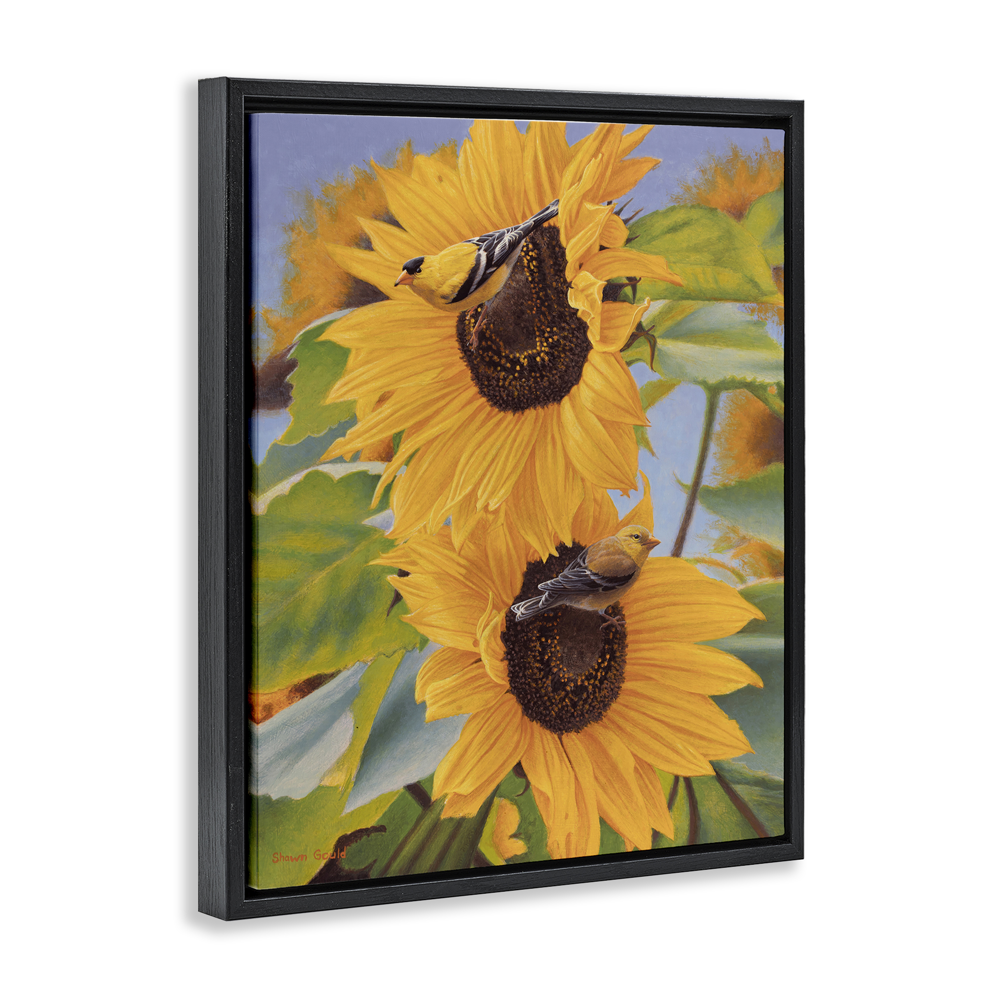 Stupell Industries Yellow Bird & Sunflowers Plants & Flowers Photography Black Floater Framed Canvas Art Print Wall Art, 25 x 31