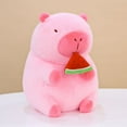 thumbnail image 1 of Poupée Capybara Véritable Poupée Jouet en Peluche Oreiller Cadeau d'Anniversaire Célébrité Internet Ragdoll DMH, 1 of 7