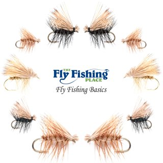 RoxStar Fishing Fly Shop | 48PK Trophy Trout Fly Assortment | Wet & Dry  Trout Flies | Gift Box Included. | Proudly Made in The USA