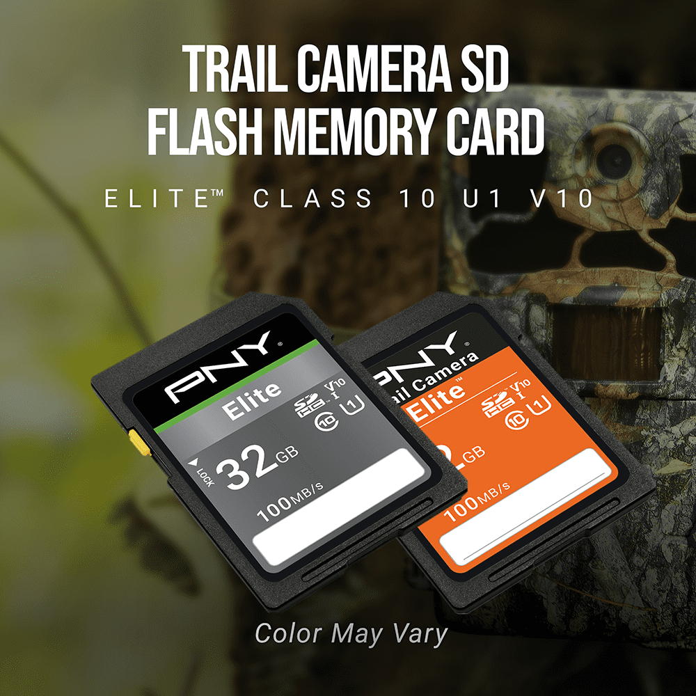 PNY 32GB Elite Class 10 U1 V10 SDHC Trail Camera Flash Card - Read up to 100MB/s, UHS-I, HD Outdoor & Wildlife Content, 2-Pack (Packaging May Vary)