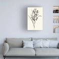thumbnail image 3 of Nan Rae 'Ink Wash Floral II Gladiolus' Canvas Art, 3 of 3