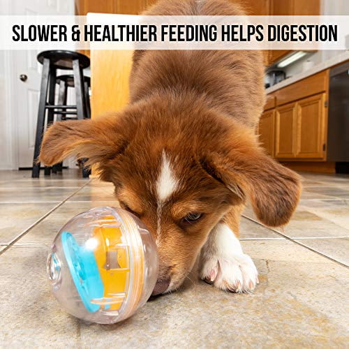 Pet Zone IQ Treat Dispenser Ball Dog Toy, 4-in - Humane Society of Dickson