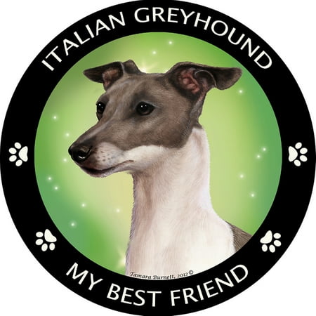 Italian Greyhound My Best Friend Magnet (Best Food For Italian Greyhounds)