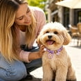thumbnail image 6 of Pet Collar with Safety Buckle Vibrant Adjustable Beaded Collars for Cats and Puppy Dogs Cute Necklace with Charm Pendant for Small Kitten Puppy Girl Dog L, 6 of 6