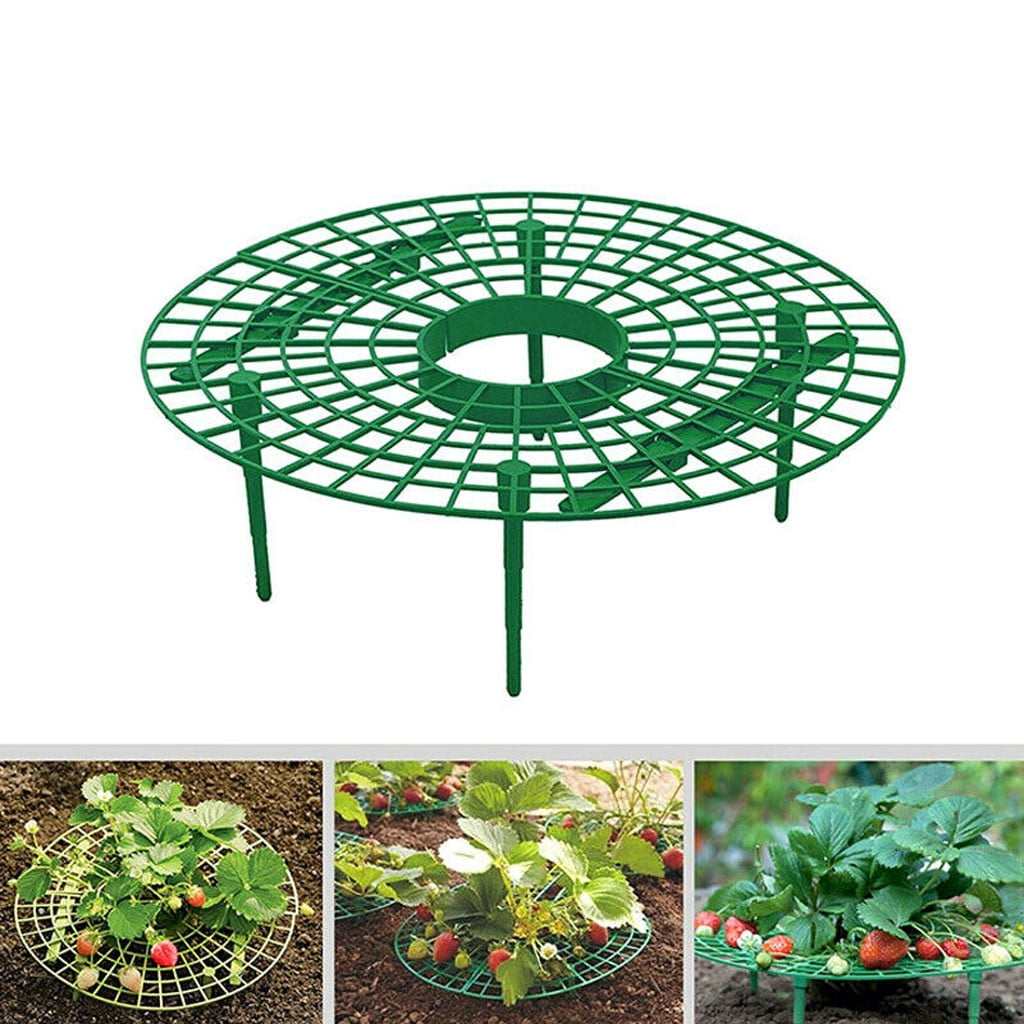 Fridja Strawberry Plant Growing Supports Keep Strawberries Off Rot in the Rainy 10PCS