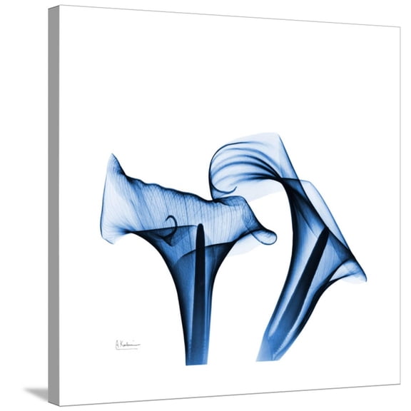Art.com Calla Lilies Indigo Stretched Canvas Print Wall Art by Albert Koetsier, 30" x 30"