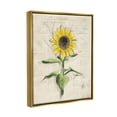 thumbnail image 4 of Stupell Industries Vintage Sunflower Painting Botanical & Floral Painting Gold Floater Framed Canvas Art Print Wall Art, 25 x 31, 4 of 10