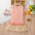 thumbnail image 4 of Odeerbi Toddler Kids Baby Girls 2025 Fashion Cute Solid Color Sleeveless Mesh Ruffles Princess Dress, 4 of 9