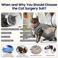 thumbnail image 5 of ROZKITCH Soft Cat Recovery Suit, Elastic Cat Onesie after Surgery, Rear Leg and Abdomen Wound Protection, Cat Cone Collar Alternative, Gray, L, 5 of 9