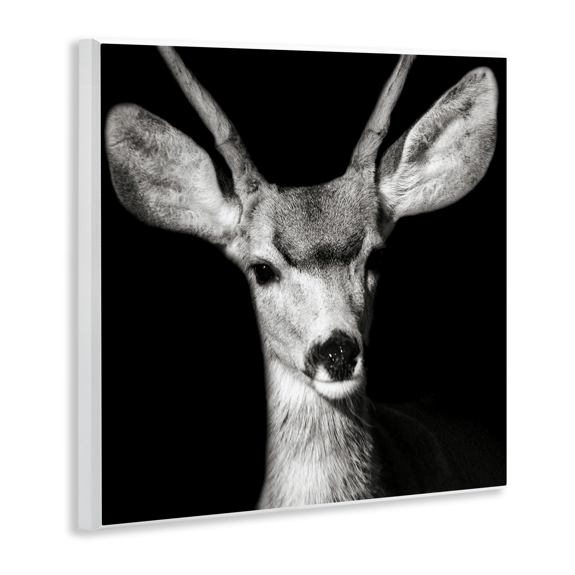 Stupell Industries Gazing Deer Portrait Animals & Insects Photography Unframed Art Print Wall Art, 12 x 12