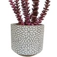 thumbnail image 2 of Planta Decorativa Crássula Lila con Maceta de Cerámica Gris, 2 of 2