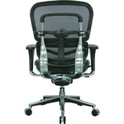 Raynor Eurotech Mesh/Leather Mid Back Ergo human Chair Black LEM6ERGLO-BLK(N