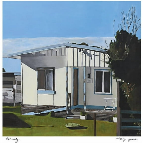 Ostraaly - Misery Guests - Music & Performance - Vinyl