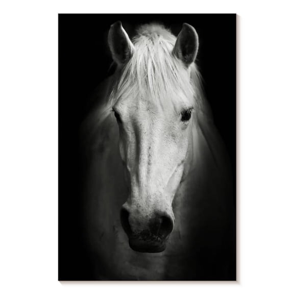 Elephant Stock White Thoroughbred Horse Wall Art - Vertical Canvas Wall Art - Living Room Wall Decor - Animal Canvas - Black And White Decor - 8" x 12"