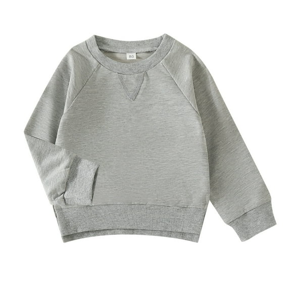 SUXIAN Toddler Kids Baby Boy Girl Crewneck Sweatshirt Long Sleeve Solid Color Pullover Top Casual Spring Fall Grey 3-4 Years