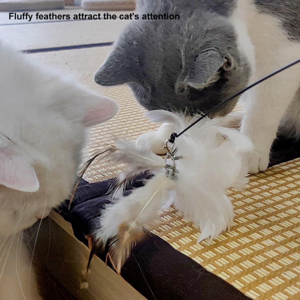 Powerful Suction Cup for Indoor Kitty Old Cat Exercise 2Pcs Natural Feathers and1 Cat Wand Toy Cat Toys Interactive Cat Feather Wand 