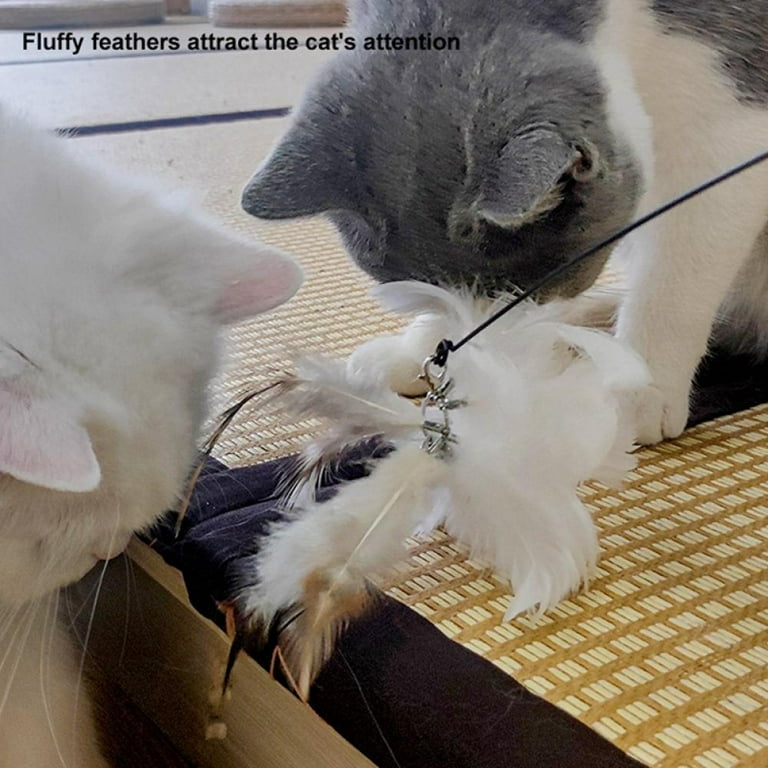 Cats and feathers top