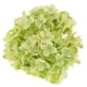 thumbnail image 5 of Flor De Seda Artificial Perfecl Hortensia Verde 19 cm 12 cm, 5 of 8