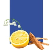 Scent Diffuser + 1 scent for 1 month