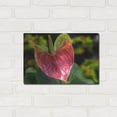 thumbnail image 3 of Luxe Metal Art ' Antherium' by Don Spears, Metal Wall Art, 16"x12", 3 of 9