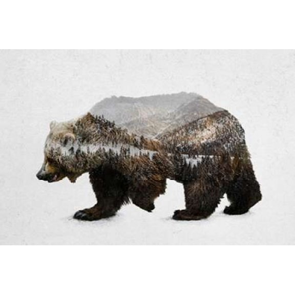 The Kodiak Brown Bear Canvas Art - Davies Babies (12 x 18)