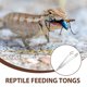 thumbnail image 3 of CHICHUMID 2Ud Pinzas Curvas Para Reptiles De Inoxidable Con Punta De Goma Para Terrario Y Acuario, 3 of 8