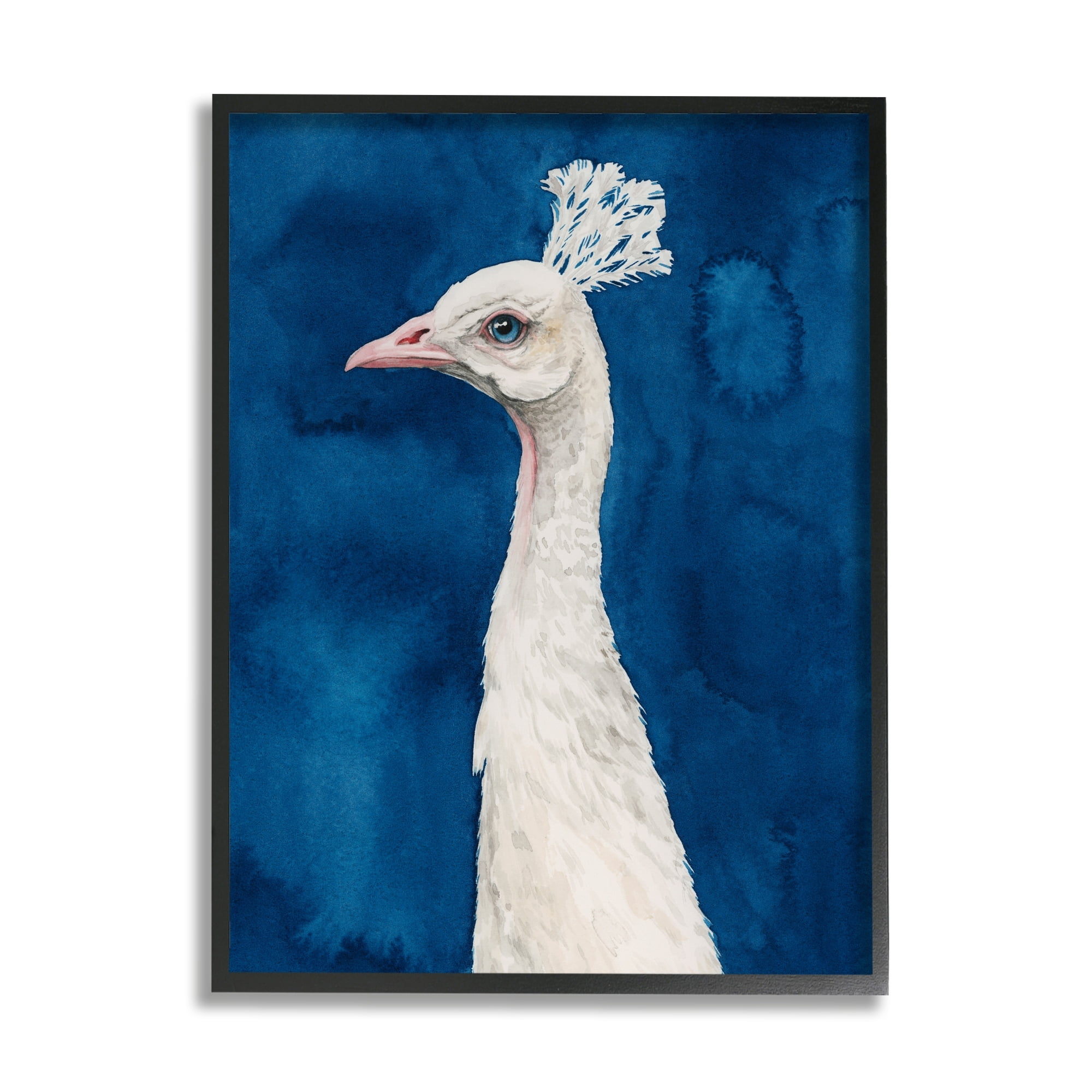Stupell Industries Gorgeous Royal Blue White Feathers Peacock Portrait Paintings Black Framed Art Print Wall Art, 24x30, by Grace Popp