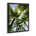 thumbnail image 4 of Stupell Industries Overhead Palm Trees Plants & Flowers Photography Black Floater Framed Canvas Art Print Wall Art, 25 x 31, 4 of 10