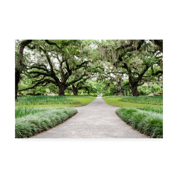 Trademark Fine Art 'Garden Entrance' Canvas Art by Chuck Burdic