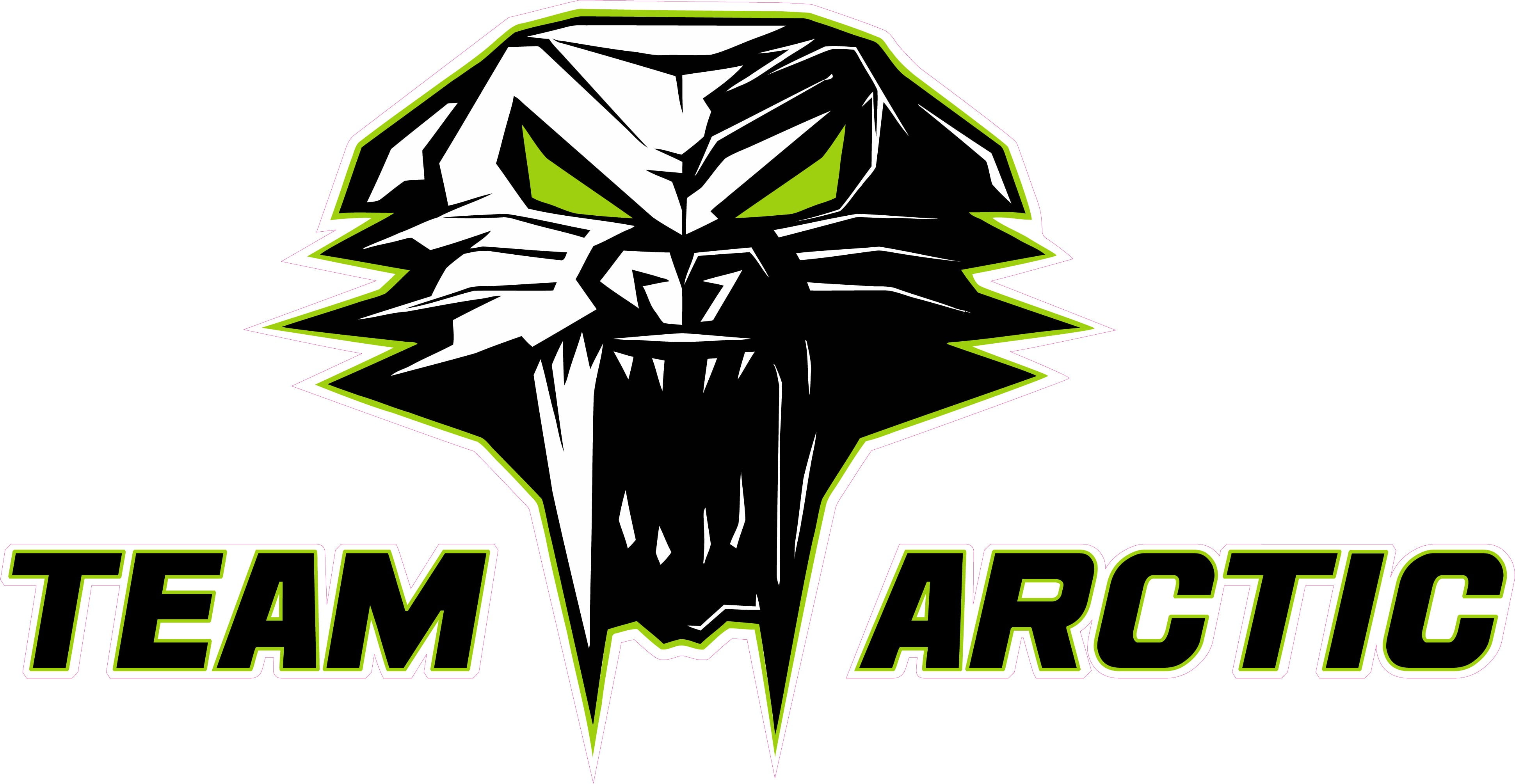 Arctic Cat Logo Images
