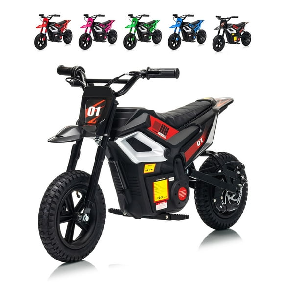 Electric Dirt Bike for Teens, 12" Fat Tire 350W Electric Motorcycle with 24V Battery, 14MPH Top Speed, 130 LBS Max Load, Mini Dirtbike for Kids, Mountain Off-Road Bike Fit Age 10+