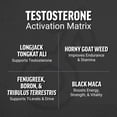 thumbnail image 3 of Force Factor Test X180 Gummies Testosterone Booster for Men with Tongkat Ali, Horny Goat Weed, Tribulus Terrestris, Fenugreek, & Black Maca, Supplement Men, Berry Punch, 60 Gummies, 1-Pack, 3 of 5