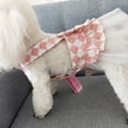 thumbnail image 3 of TIMIFIS Vêtements pour Chien Vêtements et Accessoires pour Chien Robe d'Été pour Animal Jupe Princesse Peng Peng Jupe pour Chien Printemps Été Robe pour Chien, 3 of 6