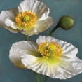 thumbnail image 2 of Pahl, Janel 15x15 Gold Ornate Wood Framed with Double Matting Museum Art Print Titled - Poppy Parfait I, 2 of 4